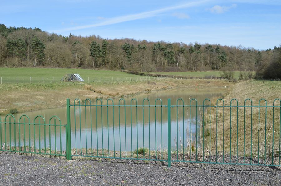 The Stewpond